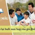 Dàn ý tả lại buổi sum họp của gia đình em