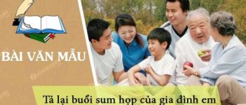 Dàn ý tả lại buổi sum họp của gia đình em