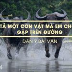 Dàn ý tả một con vật mà em chợt gặp trên đường