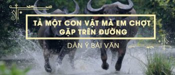 Dàn ý tả một con vật mà em chợt gặp trên đường