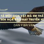 Dàn ý tả một con vật mà em thấy trên họa báo hay truyền hình