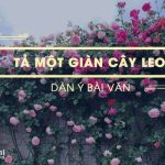 Dàn ý tả một giàn cây leo