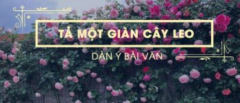 Dàn ý tả một giàn cây leo