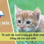 Dàn ý tả một vật nuôi trong gia đình nhà nông mà em quý mến