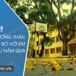 Dàn ý Tả ngôi trường thân yêu đã gắn bó với em trong nhiều năm qua