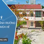 Dàn ý tả quang cảnh trường em vào mùa hè