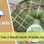 Dàn ý thuyết minh về bánh chưng