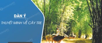 Dàn ý thuyết minh về cây tre