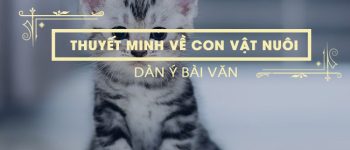 Dàn ý thuyết minh về con vật nuôi mà em yêu thích