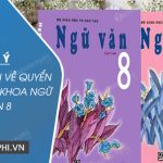 Dàn ý thuyết minh về quyển sách giáo khoa Ngữ văn 8