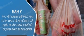 Dàn ý thuyết minh về tác hại của bao bì ni lông và giải pháp hạn chế sử dụng bao bì ni lông