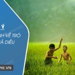 Dàn ý thuyết minh về trò chơi thả diều