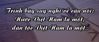 Dàn ý trình bày suy nghĩ về câu nói: Nước Việt Nam là một, dân tộc Việt Nam là một…