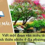 Dàn ý viết một đoạn văn miêu tả cảnh thiên nhiên ở địa phương em