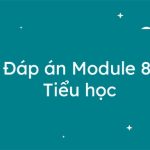 Đáp án Module 8 Tiểu học đầy đủ chi tiết