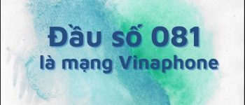 Đầu số 081 là mạng gì? Tất tần tật về số 081