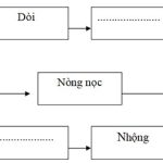 Đề thi học kì 2 môn Khoa học lớp 5 có bảng ma trận đề thi