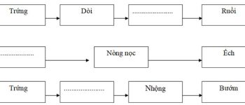 Đề thi học kì 2 môn Khoa học lớp 5 có bảng ma trận đề thi