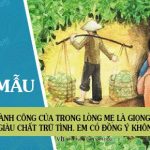 Điều quan trọng làm nên thành công của Trong lòng mẹ là giọng văn giàu chất trữ tình. Em có đồng ý như vậy không?