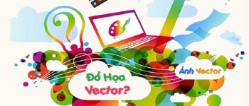 Đồ hoạ Vector là gì? Ảnh Vector là gì? Những đặc trưng cơ bản?