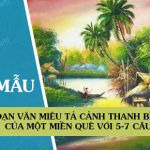 Đoạn văn miêu tả cảnh thanh bình của một miền quê với 5-7 câu