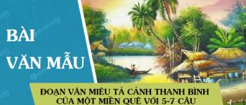 Đoạn văn miêu tả cảnh thanh bình của một miền quê với 5-7 câu