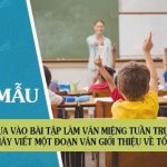 Đoạn văn ngắn giới thiệu về tổ của em