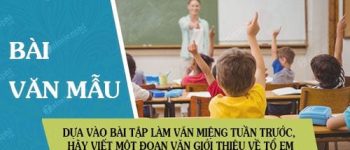 Đoạn văn ngắn giới thiệu về tổ của em