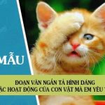 Đoạn văn ngắn tả hình dáng hoặc hoạt động của con vật mà em yêu thích