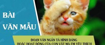 Đoạn văn ngắn tả hình dáng hoặc hoạt động của con vật mà em yêu thích