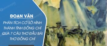 Đoạn văn phân tích cơ sở hình thành tình đồng chí qua 7 câu thơ đầu bài thơ Đồng chí