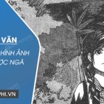 Đoạn văn phân tích hình ảnh Chiếc lược ngà