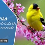 Đoạn văn phân tích khổ cuối bài Mùa xuân nho nhỏ