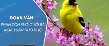 Đoạn văn phân tích khổ cuối bài Mùa xuân nho nhỏ