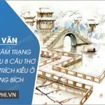 Đoạn văn Phân tích tâm trạng của Thúy Kiều 8 câu thơ cuối đoạn trích Kiều ở lầu Ngưng Bích