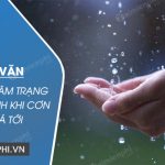 Đoạn văn phân tích tâm trạng Phương Định khi cơn mưa đá tới