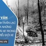 Đoạn văn phân tích tinh thần lạc quan của những người lính lái xe trong Bài thơ về tiểu đội xe không kính