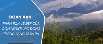 Đoạn văn phân tích vẻ đẹp của con người lao động trong Lặng lẽ Sa Pa