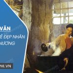 Đoạn văn phân tích vẻ đẹp nhân vật Vũ Nương