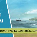 Đoạn văn tả cảnh biển, lớp 2