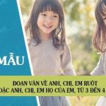 Đoạn văn về anh, chị, em ruột hoặc anh, chị, em họ của em, từ 3 đến 4 câu