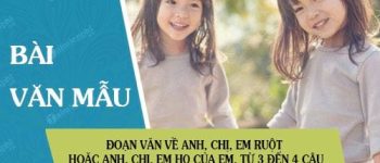 Đoạn văn về anh, chị, em ruột hoặc anh, chị, em họ của em, từ 3 đến 4 câu