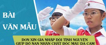 Đơn xin gia nhập đội tình nguyện giúp đỡ nạn nhân chất độc màu da cam