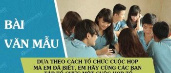 Dựa theo cách tổ chức cuộc họp mà em đã biết, em hãy cùng các bạn tập tổ chức một cuộc họp tổ