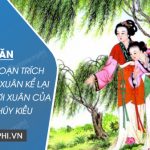 Dựa vào đoạn trích cảnh ngày xuân Kể lại cuộc đi chơi xuân của chị em Thúy Kiều