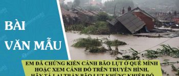 Em đã chứng kiến cảnh bão lụt ở quê mình hoặc xem cảnh đó trên truyền hình, hãy tả lại trận bão lụt khủng khiếp đó