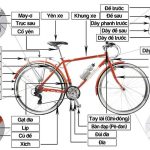 Em hãy kể tên và nêu chức năng một số bộ phận của xe đạp?