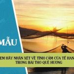 Em hãy nhận xét về tình cảm của Tế Hanh trong bài thơ Quê hương