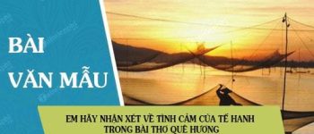 Em hãy nhận xét về tình cảm của Tế Hanh trong bài thơ Quê hương