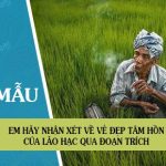 Em hãy nhận xét về vẻ đẹp tâm hồn của lão Hạc qua đoạn trích